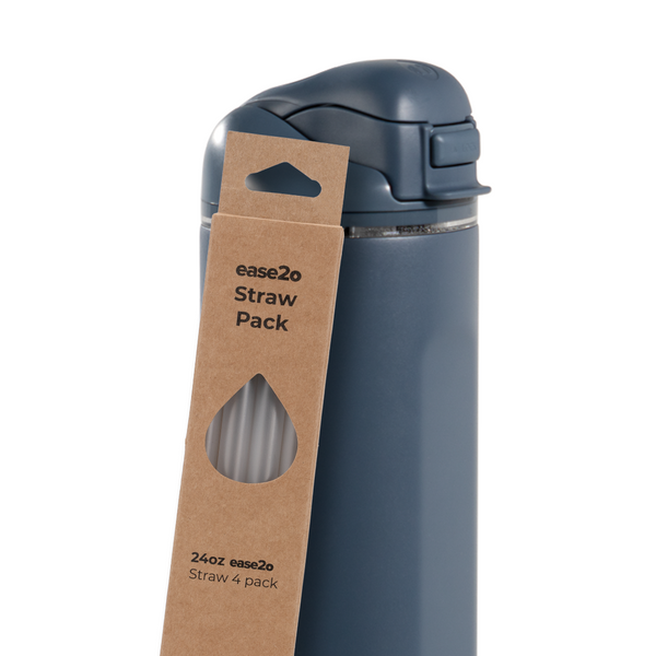 Ease2o Straws 4 Pack 24oz B1